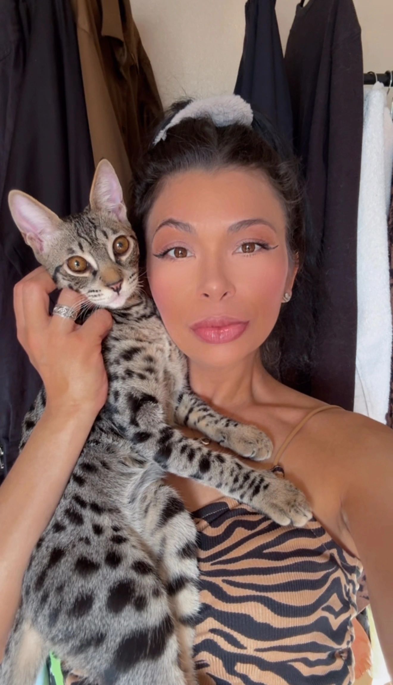 Savannah kitten for sale from LVHYBRIDS SBT cattery