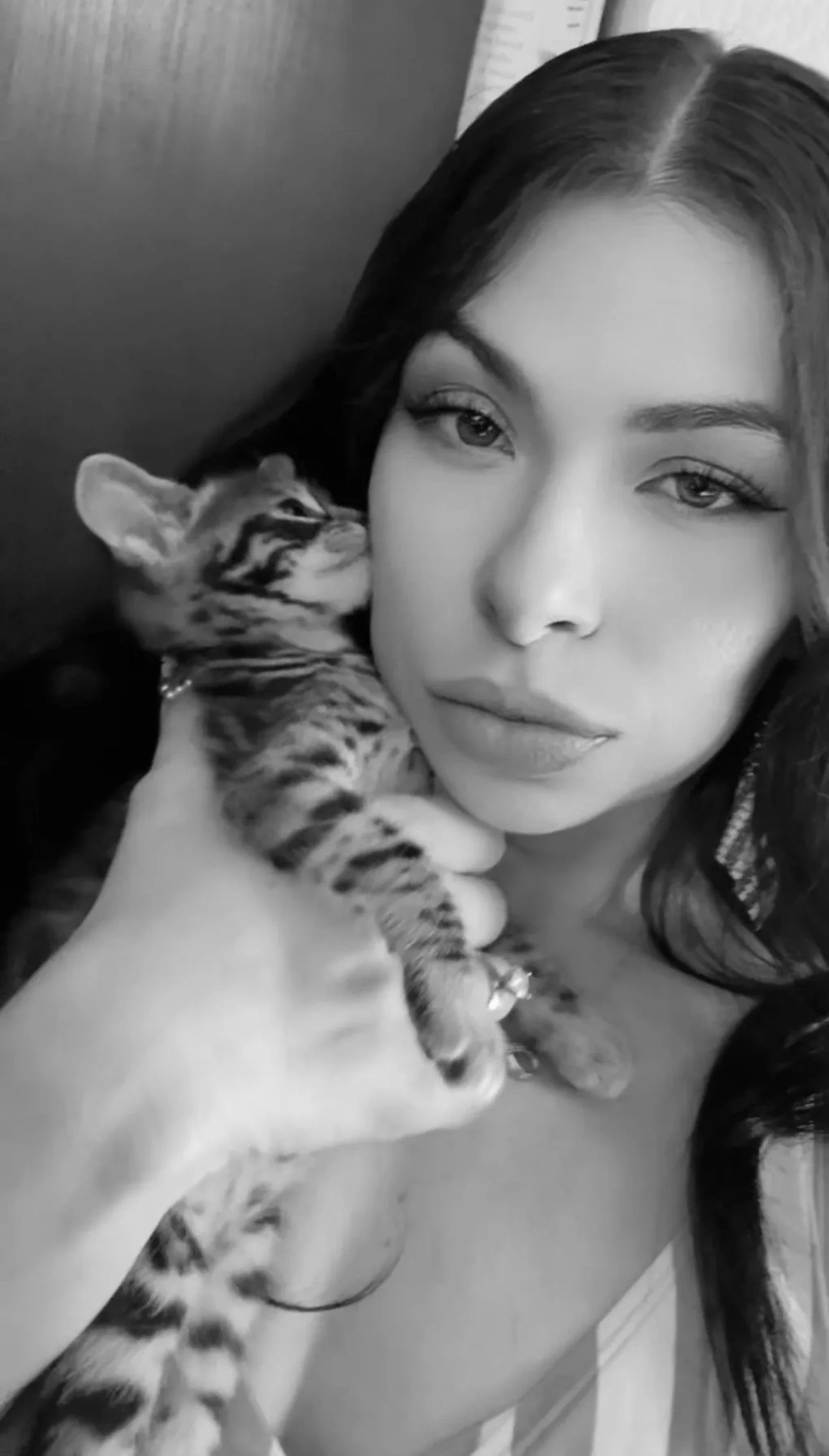 Savannah kitten for sale from LVHYBRIDS SBT cattery